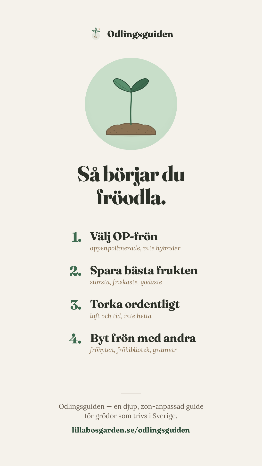 Så börjar du fröodla, fyra steg